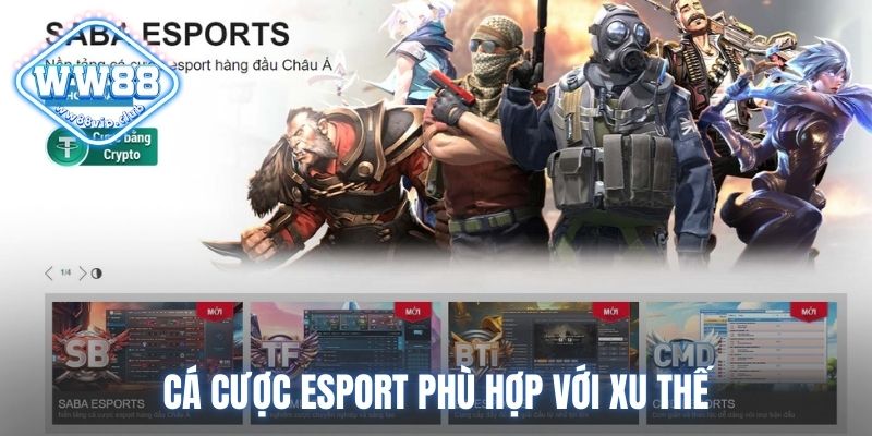 Cá cược Esport phù hợp với xu thế